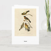 夕べ、斑状グロスベークAudubon Birds of America カード (裏面)