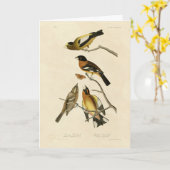 夕べ、斑状グロスベークAudubon Birds of America カード (黄色い花)