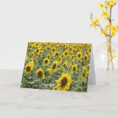 夕方ヒマワリ カード (黄色い花)