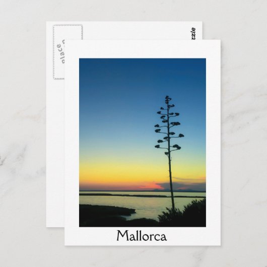 夕日にマヨルカで咲く花 ポストカード (正面/裏面)