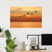 夕日に出航するカナダの鵞鳥 ポスター (ホームオフィス)