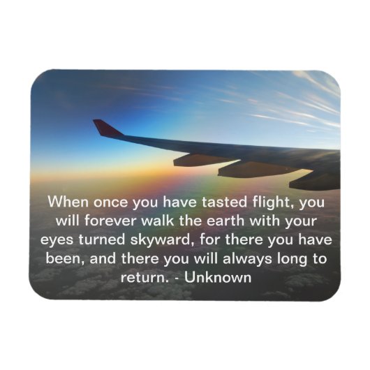 夕日に当たるカラフル飛行機の翼 マグネット (横)