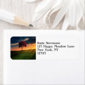 夕日に赤い木が咲く絶景 ラベル (インサイチュ)