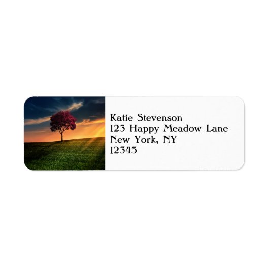 夕日に赤い木が咲く絶景 ラベル (正面)