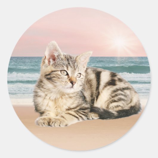 夕日のビーチに座るよりかわいいしま猫 ラウンドシール (正面)
