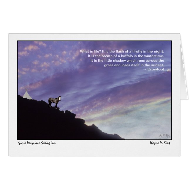 夕日の中のスピリット・ポニー (正面横)