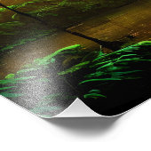 夕日の入った美しい雨林 フォトプリント            (角)