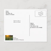 夕日の夕日の日が近いハガキ ポストカード (裏面)