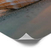 夕日の潮：海岸沿いのシェル ポスター (角)