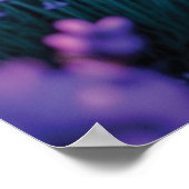 夕日の美しいラベンダー畑 ポスター (角)