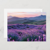 夕日の美しいラベンダー畑 ポストカード (正面/裏面)