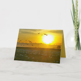 夕日の美しい野鳥と景観 カード