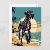 夕日の間の熱帯ビーチのグレートダン ポストカード (正面/裏面)