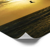 夕日の鳥写真に飛び込むカモメ ポスター (角)