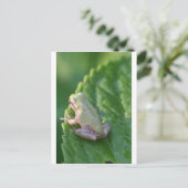 『夕日を見る』 ポストカード (スタンド正面)