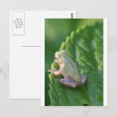 『夕日を見る』 ポストカード (正面/裏面)