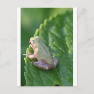 『夕日を見る』 ポストカード