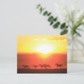 夕日走 ポストカード (スタンド正面)