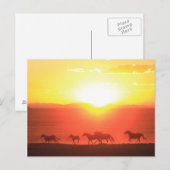 夕日走 ポストカード (正面/裏面)