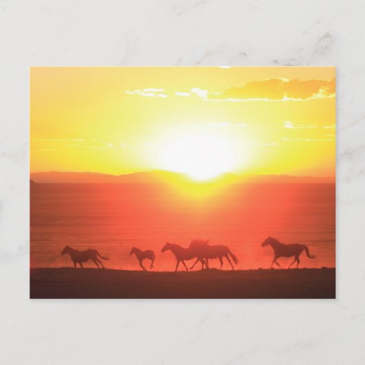 夕日走 ポストカード (正面)