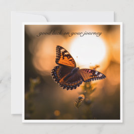 夕日飛んでいるに蝶、カスタマイズ可能