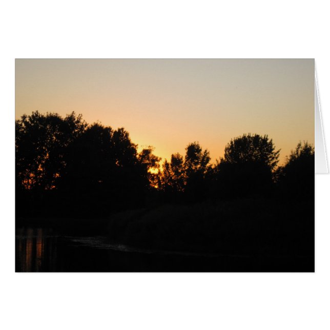 夕日 (正面横)