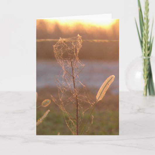 夕日 カード (正面)