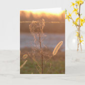 夕日 カード (黄色い花)