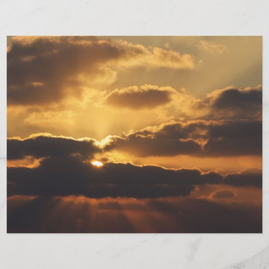 夕日 チラシ (正面)