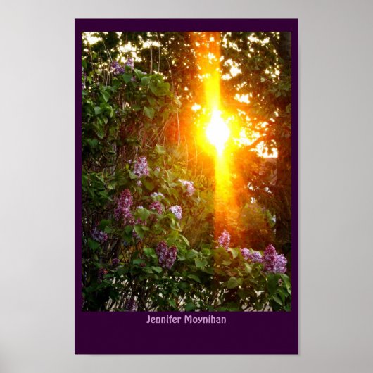 夕日 ポスター (正面)