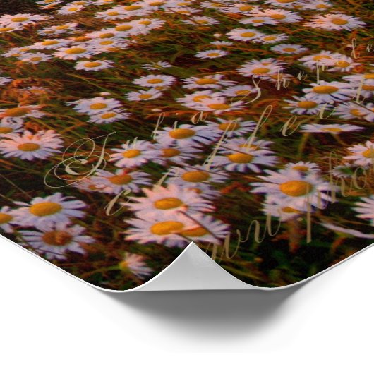 夕日 ポスター (角)