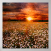 夕日 ポスター (正面)