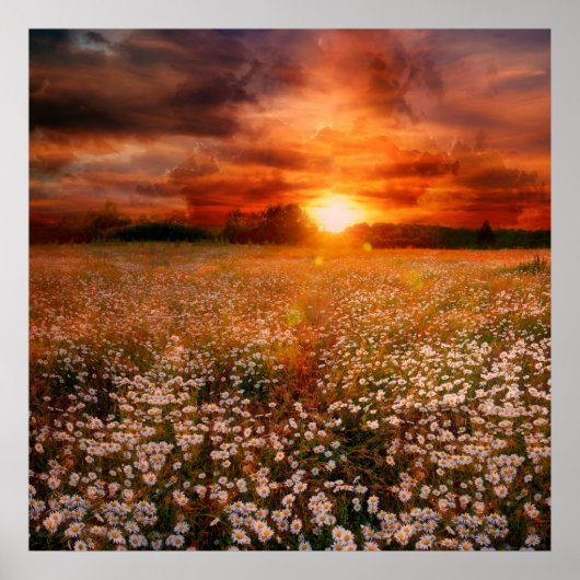 夕日 ポスター (正面)