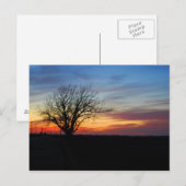 夕日 ポストカード (正面/裏面)