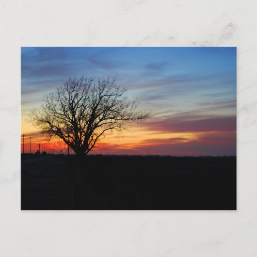 夕日 ポストカード (正面)