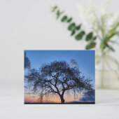 夕日 ポストカード (スタンド正面)