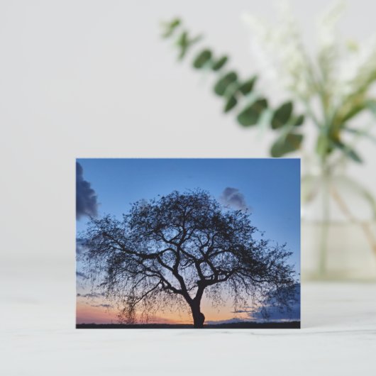 夕日 ポストカード (スタンド正面)