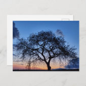 夕日 ポストカード (正面/裏面)