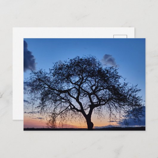 夕日 ポストカード (正面/裏面)