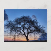 夕日 ポストカード (正面)