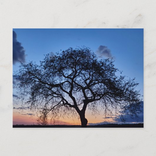 夕日 ポストカード (正面)