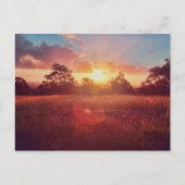 夕日 ポストカード (正面)