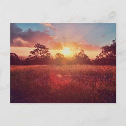 夕日 ポストカード (正面)