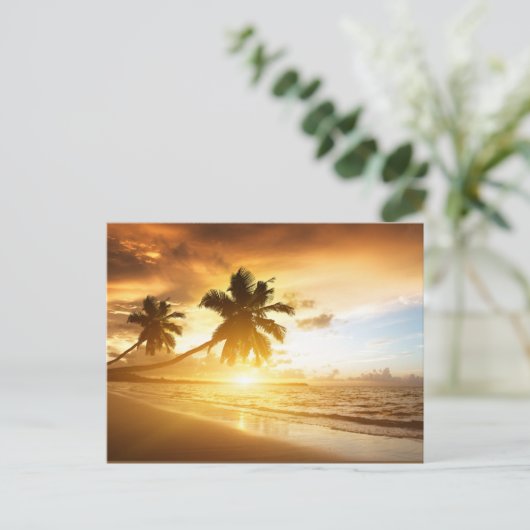 夕日 ポストカード (スタンド正面)