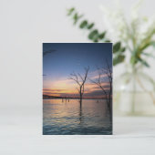 夕日 ポストカード (スタンド正面)