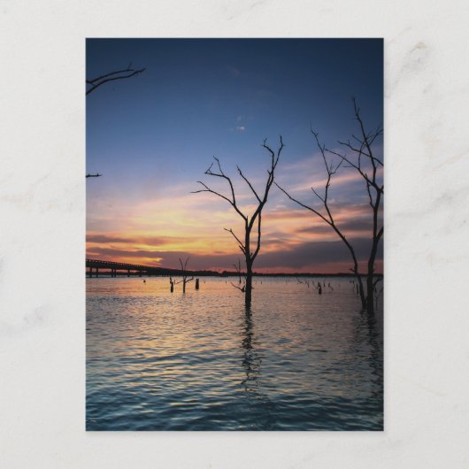 夕日 ポストカード (正面)