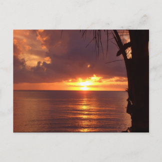 夕日 ポストカード