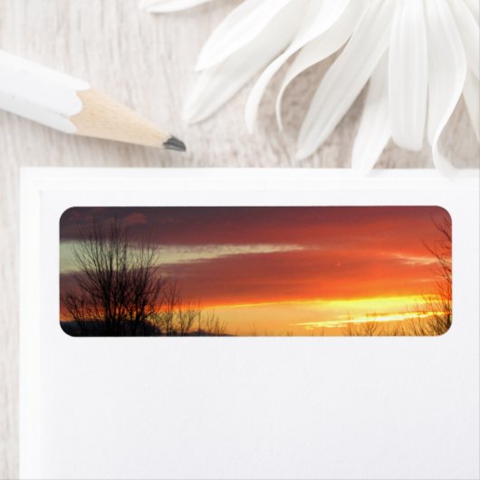 夕日 ラベル (インサイチュ)