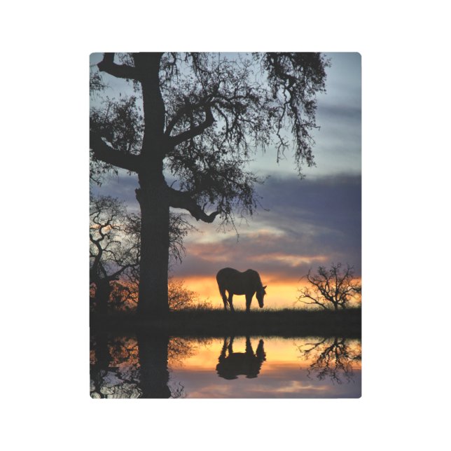 夕暮れと池に美しい馬 メタルプリント (正面)