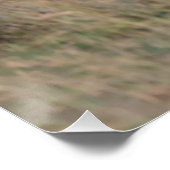 夕暮れのゼブラ ポスター (コーナー)